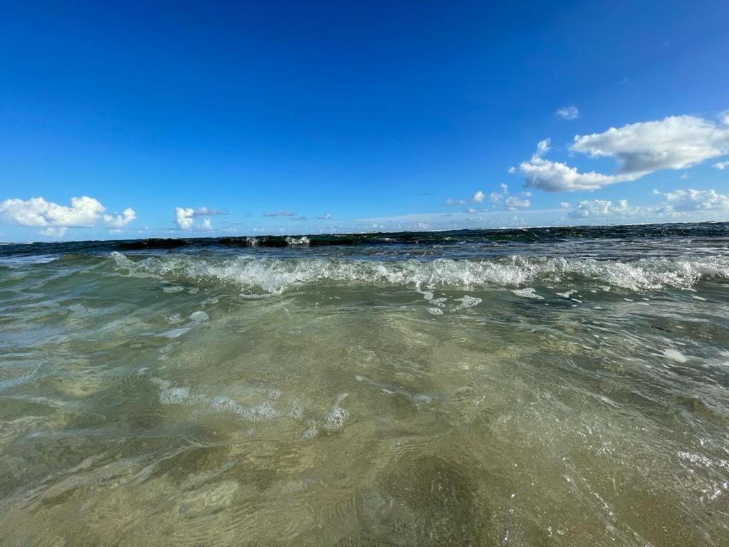 Appartement La Perle, T2 Les Pieds Dans L'Eau A 50M De La Mer Saint-Francois  Exterior foto