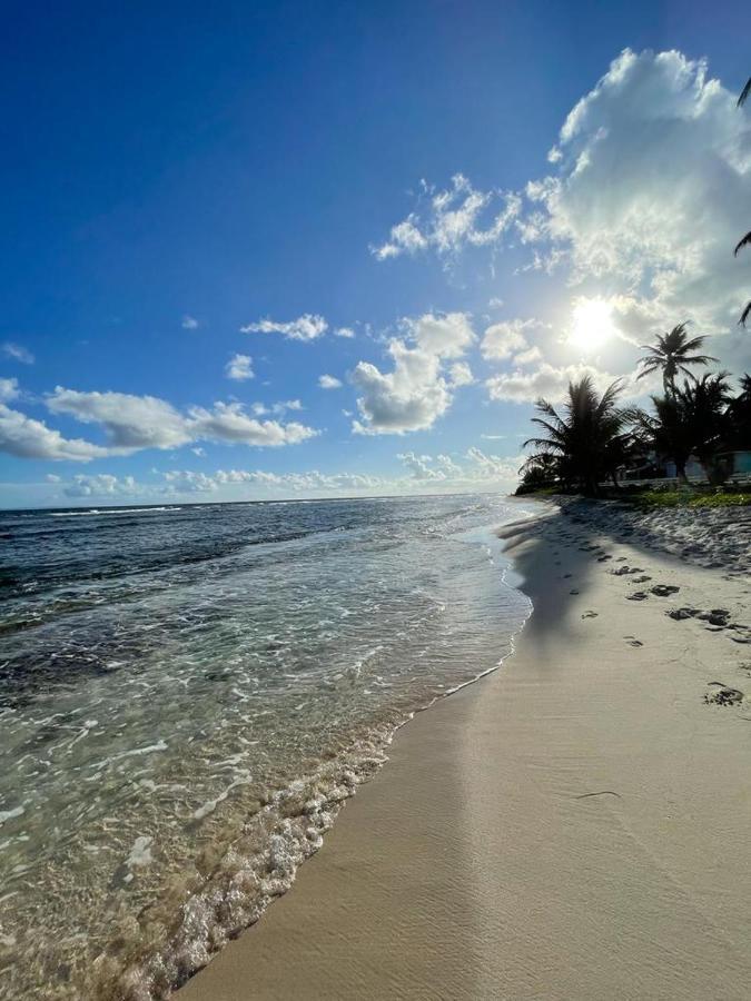 Appartement La Perle, T2 Les Pieds Dans L'Eau A 50M De La Mer Saint-Francois  Exterior foto
